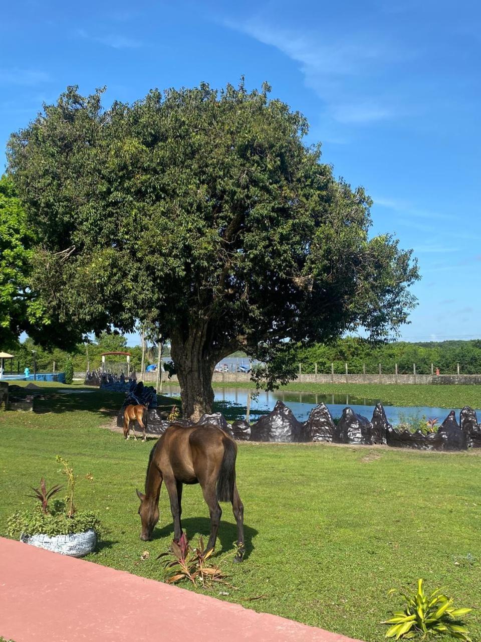 Pousada Marajoara- Hotel Fazenda-Turismo De Aventura Сори Экстерьер фото