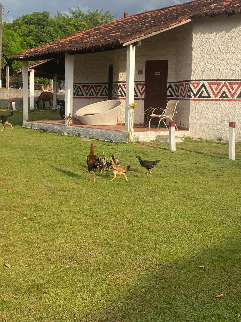 Pousada Marajoara- Hotel Fazenda-Turismo De Aventura Сори Экстерьер фото